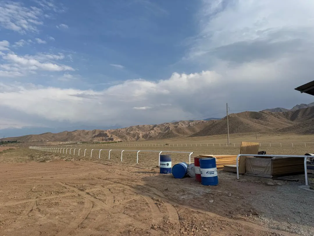 ТОНДО “АРГЫМАК” АТ КОМПЛЕКСИ КУРУЛУУДА.